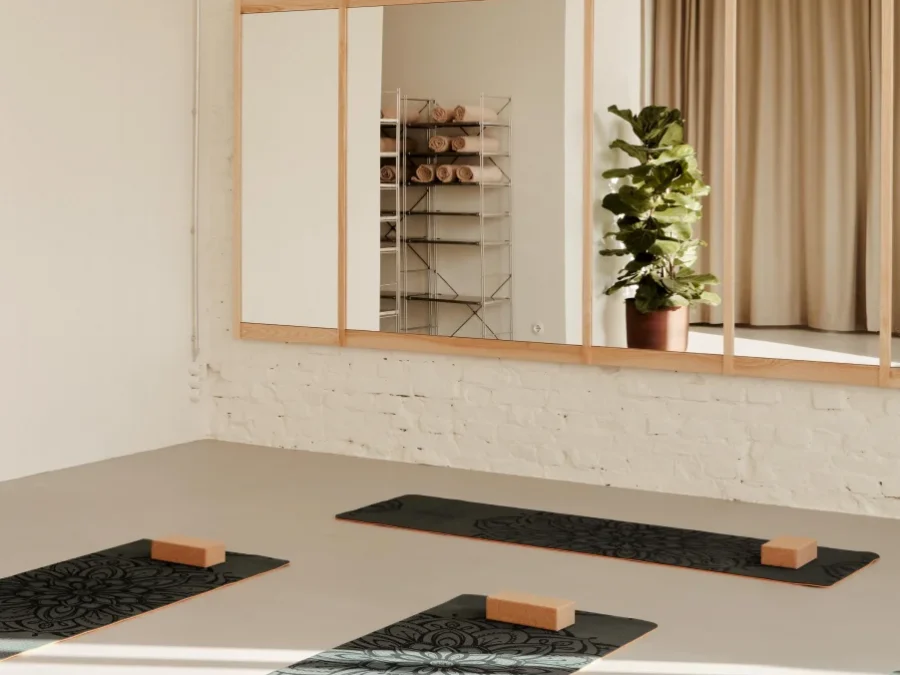 Denizen Eiswerk Memberships